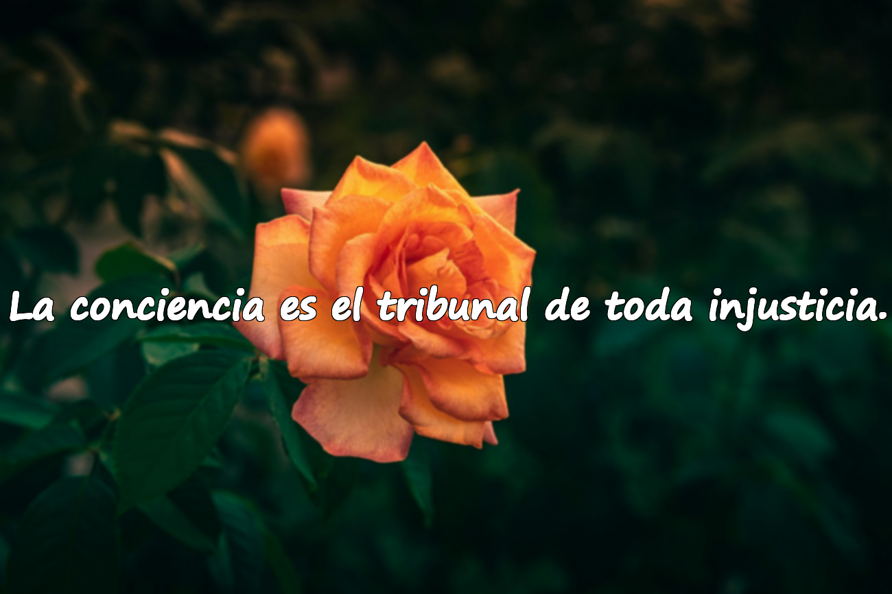 Frases sobre la conciencia