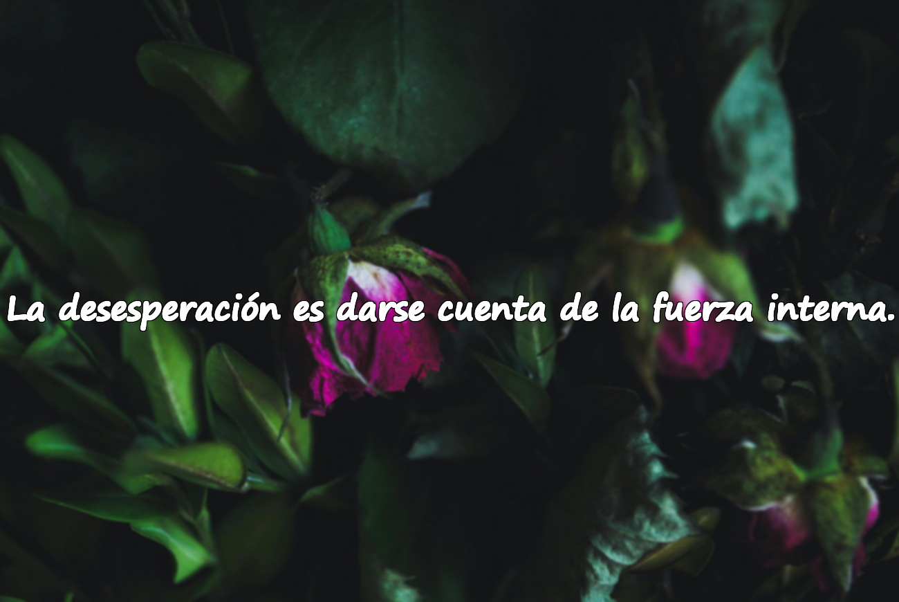 La desesperación es darse cuenta de la fuerza interna.