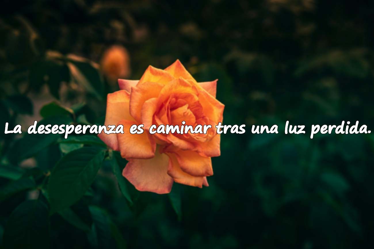 Frases sobre la desesperanza