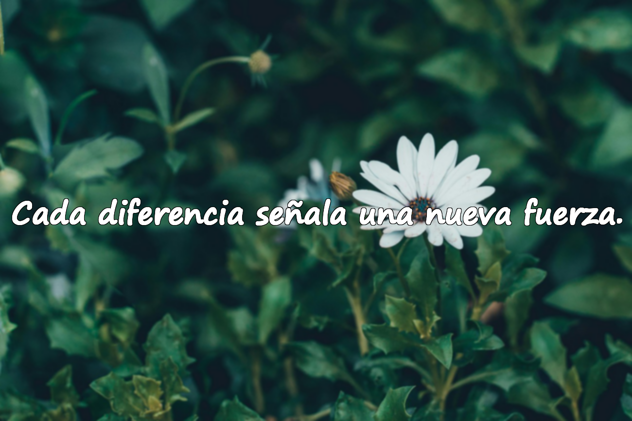 Cada diferencia señala una nueva fuerza.