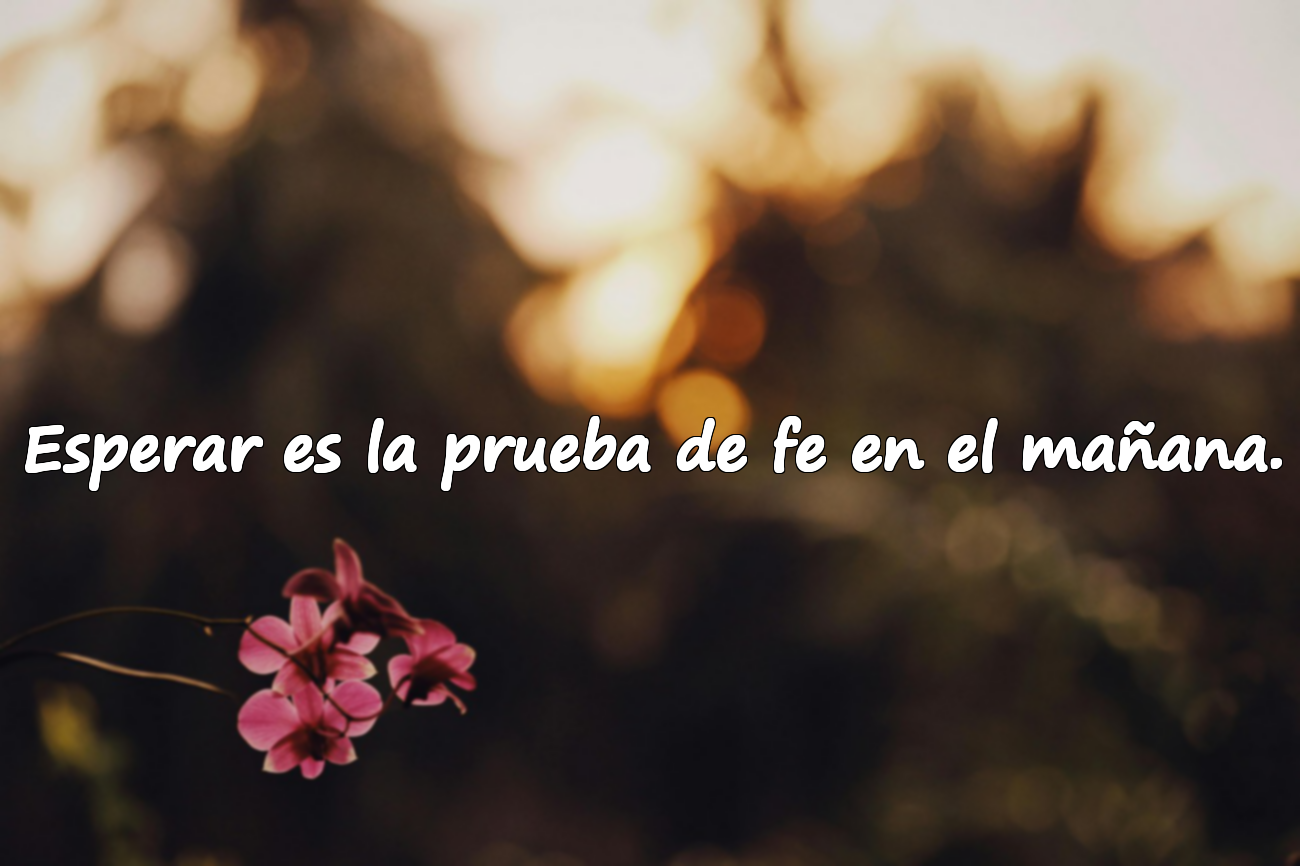 Esperar es la prueba de fe en el mañana.