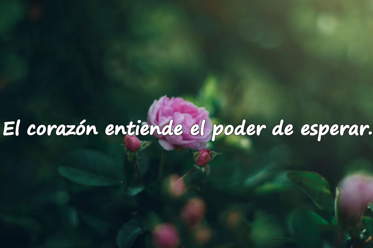 El corazón entiende el poder de esperar.