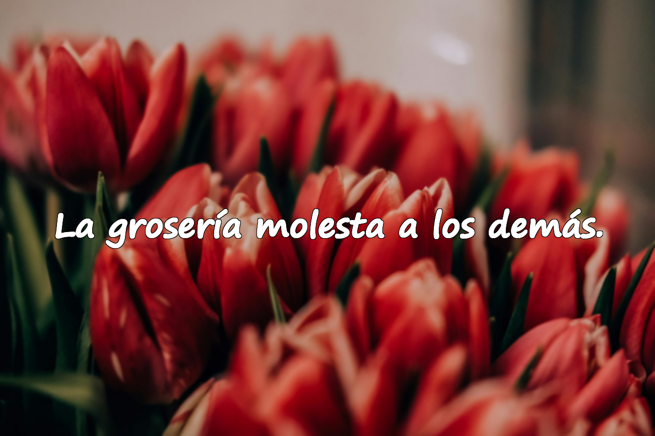 La grosería molesta a los demás.