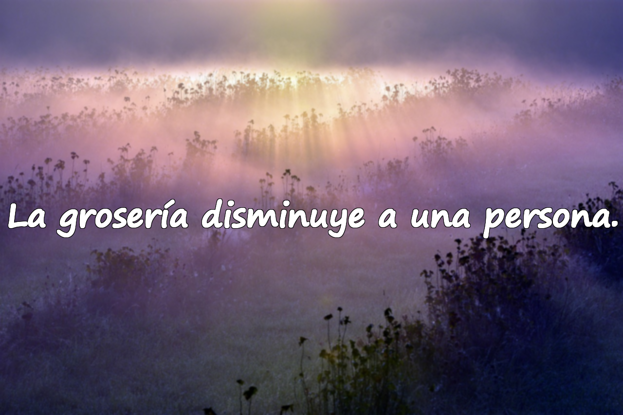 La grosería disminuye a una persona.