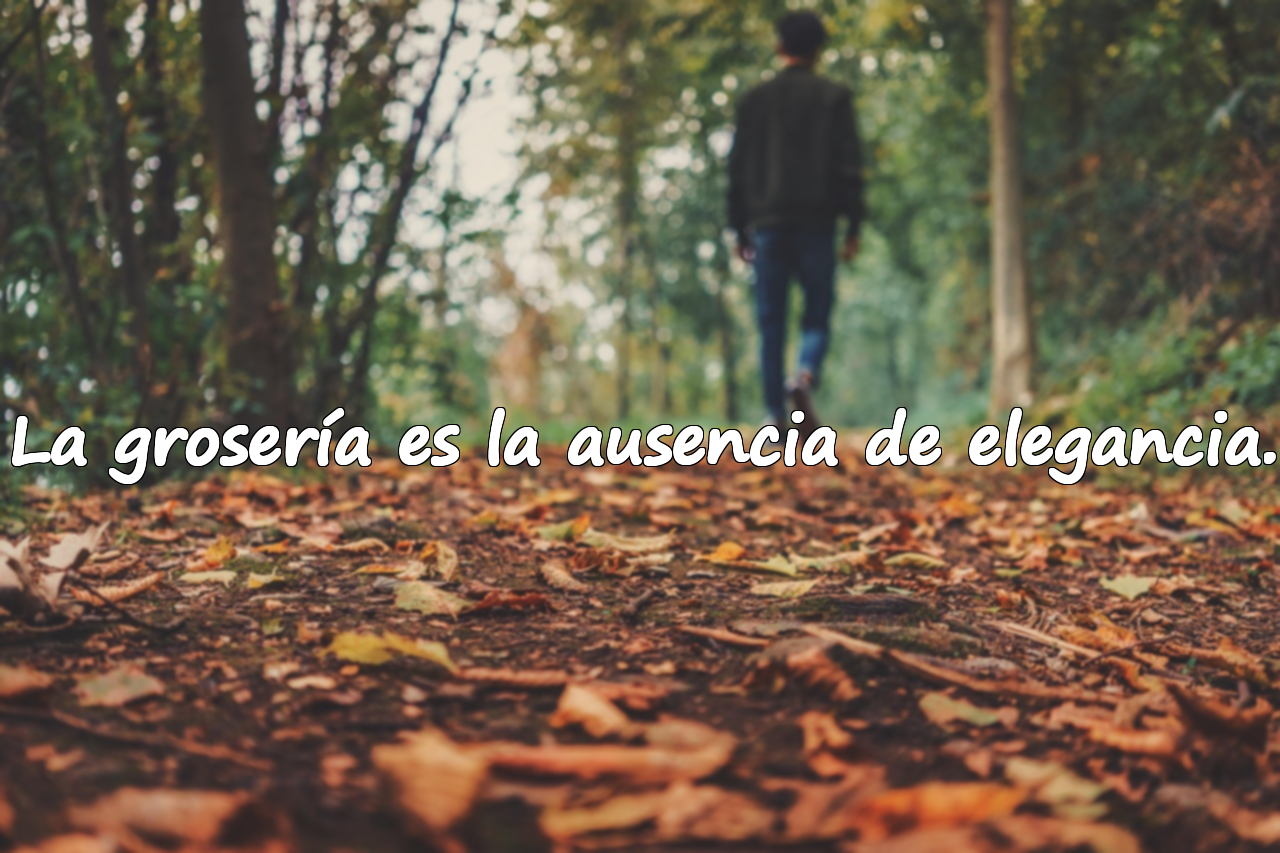 La grosería es la ausencia de elegancia.