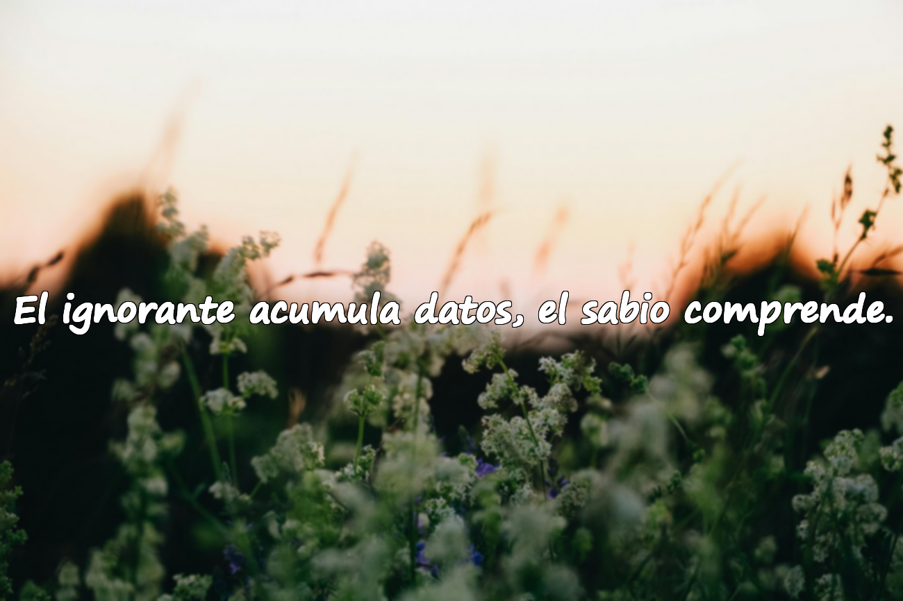 El ignorante acumula datos, el sabio comprende.