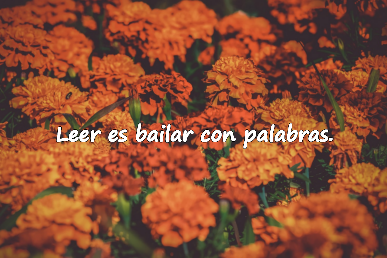 Frases sobre la lectura de libros