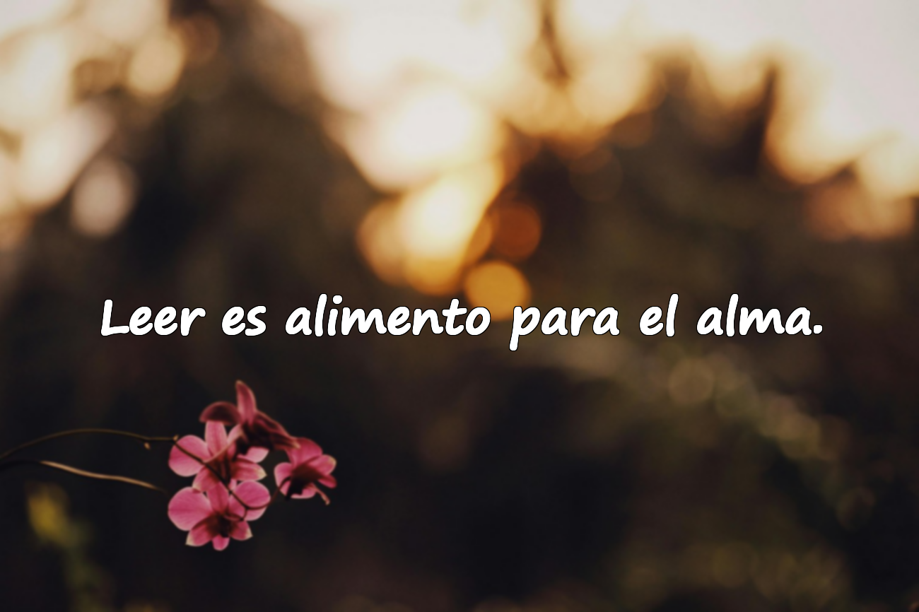 Frases sobre la lectura de libros