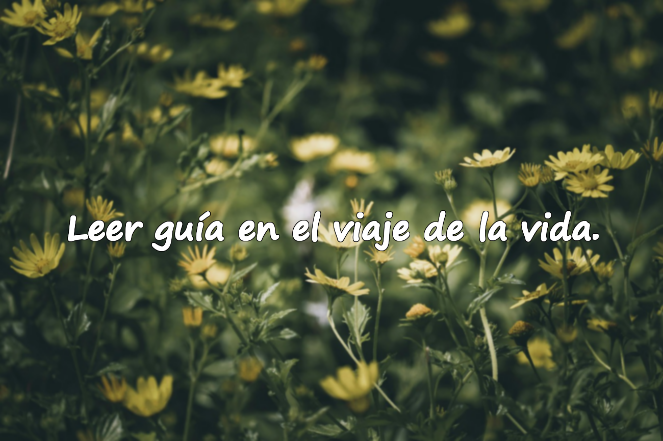 Frases sobre la lectura de libros