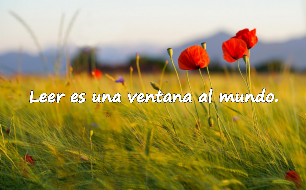 Leer es una ventana al mundo.