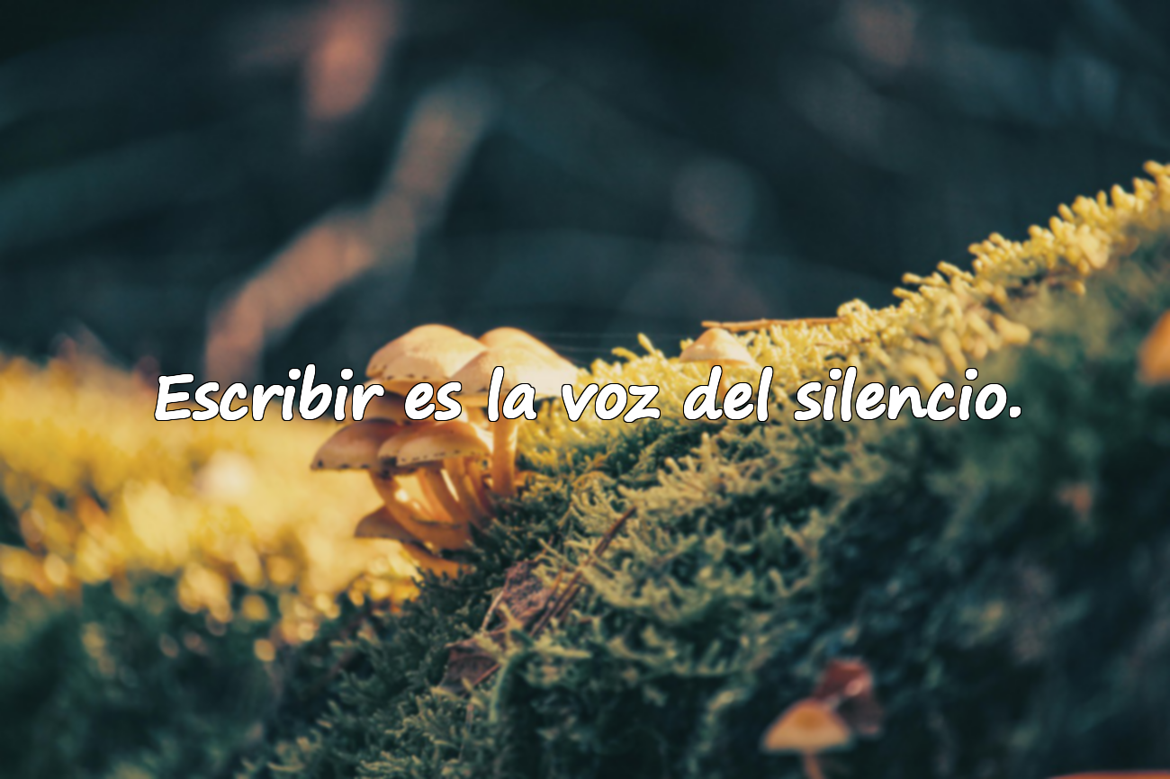 Frases sobre la literatura
