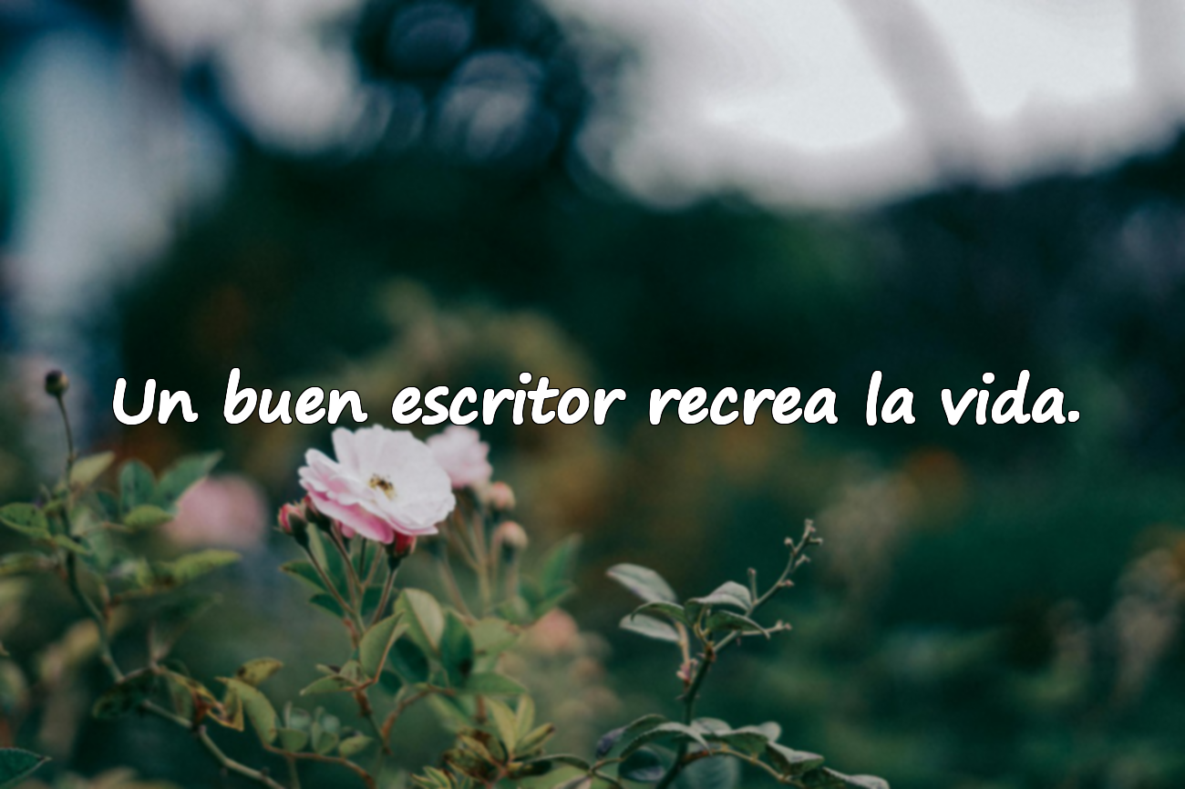 Frases sobre la literatura