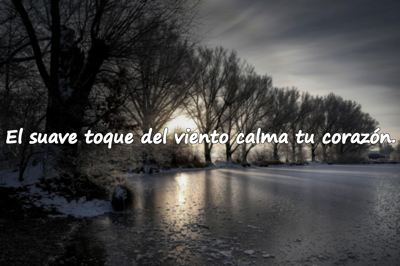 El suave toque del viento calma tu corazón.