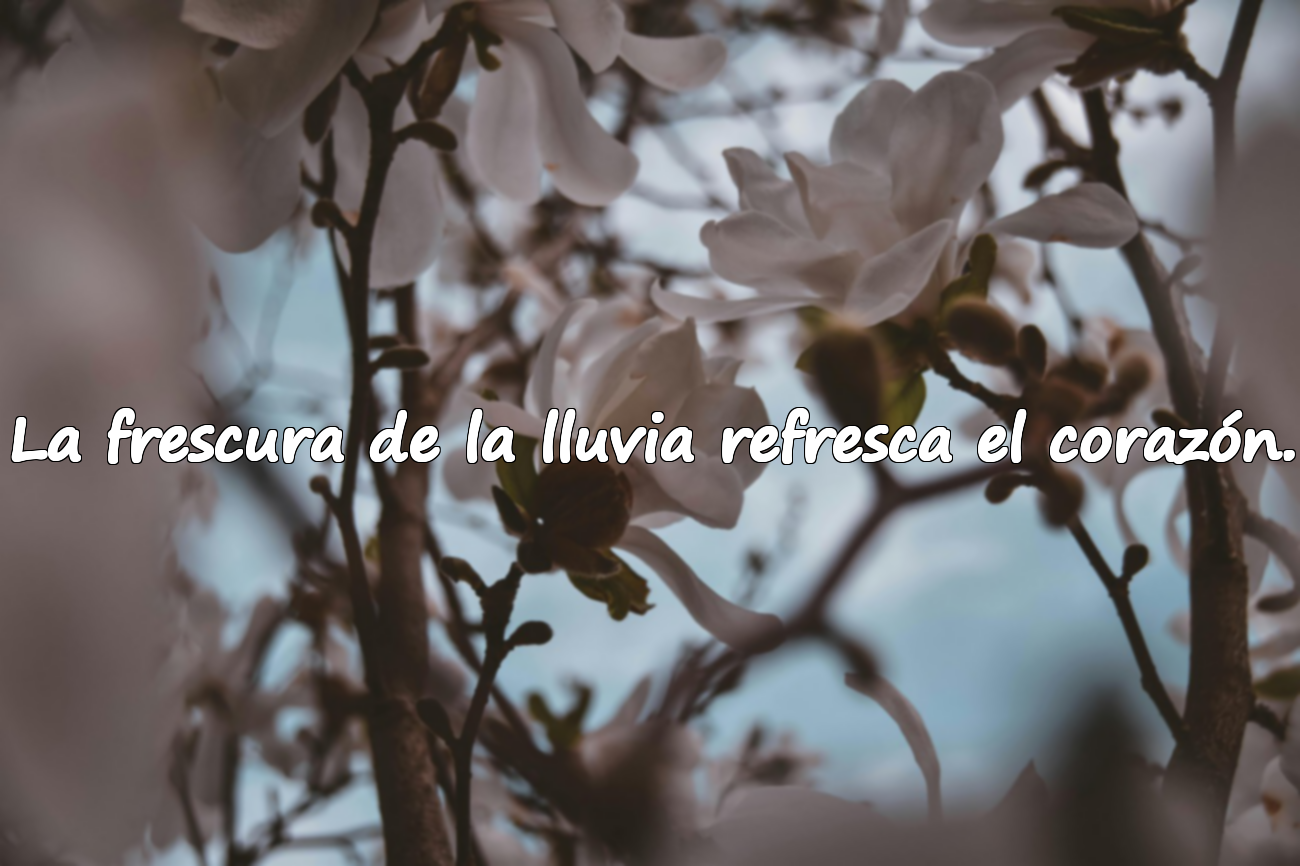 La frescura de la lluvia refresca el corazón.