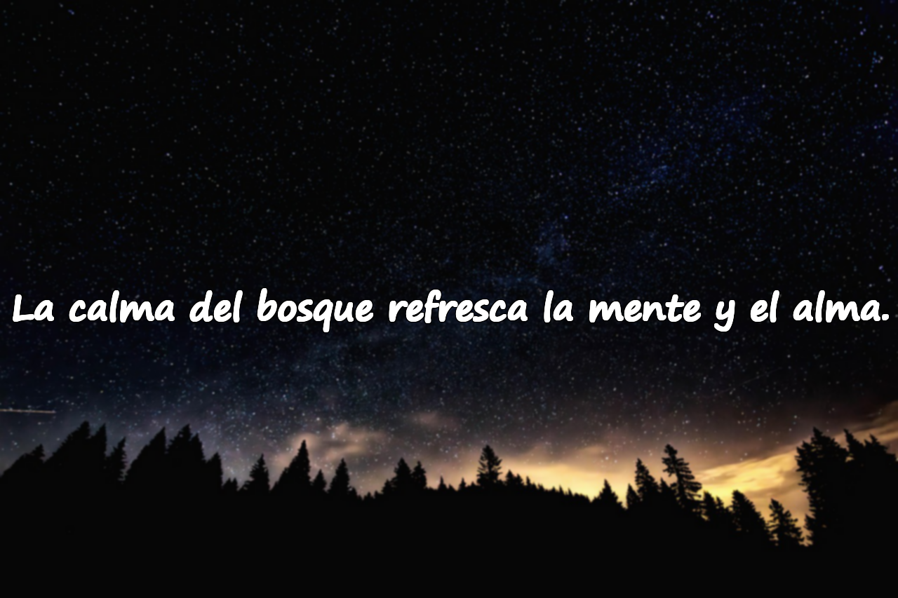 La calma del bosque refresca la mente y el alma.