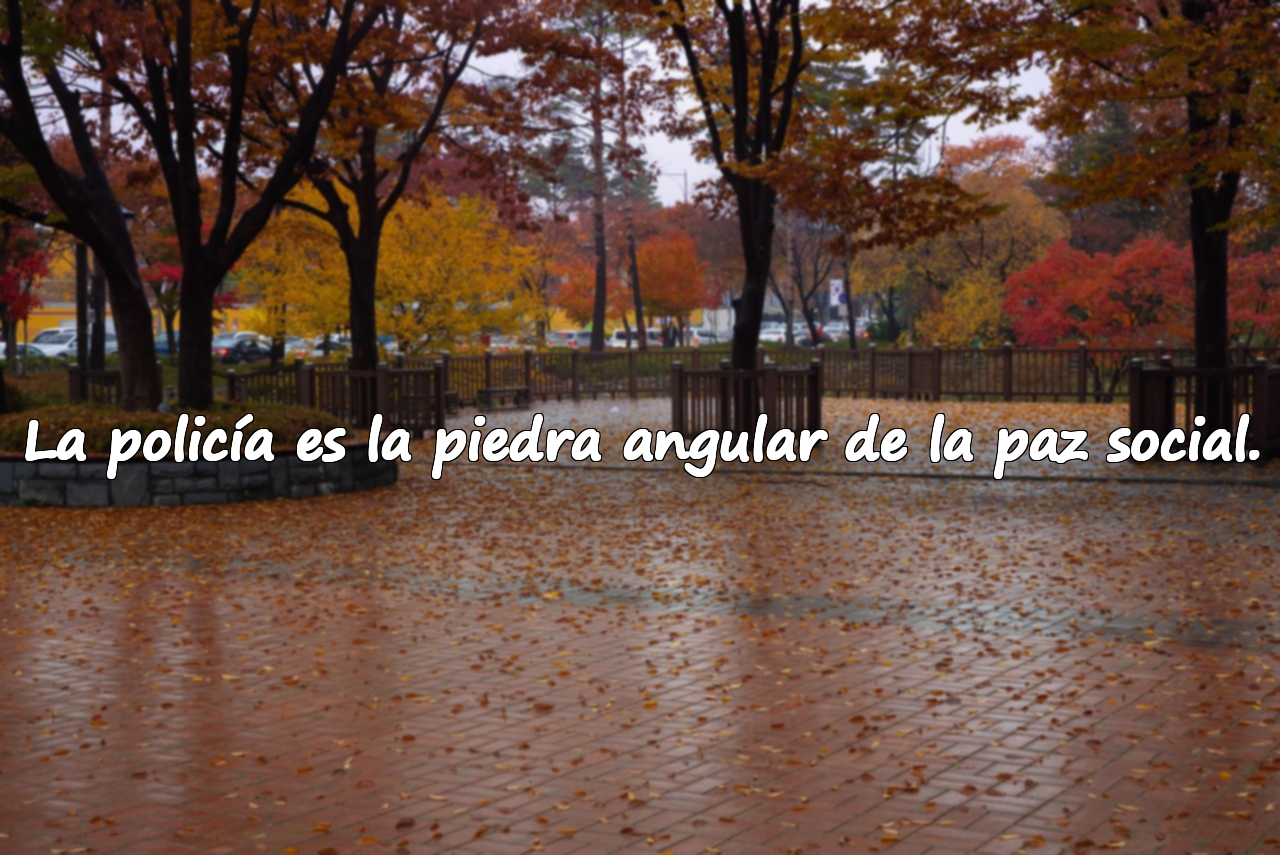 Frases sobre la policía