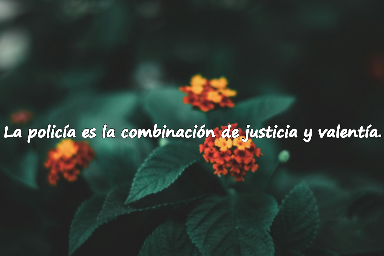 Frases sobre la policía