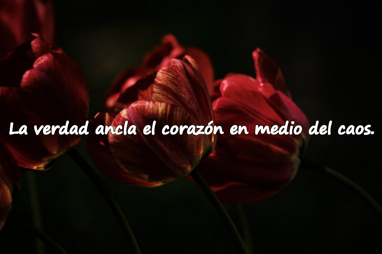 La verdad ancla el corazón en medio del caos.