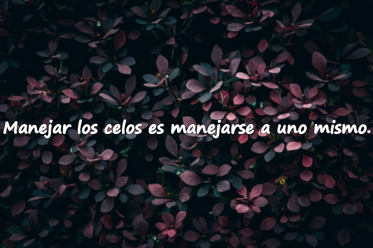 Frases sobre los Celos