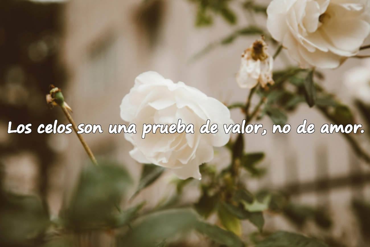 Frases sobre los Celos