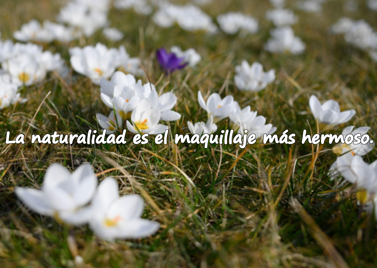 Frases sobre maquillaje