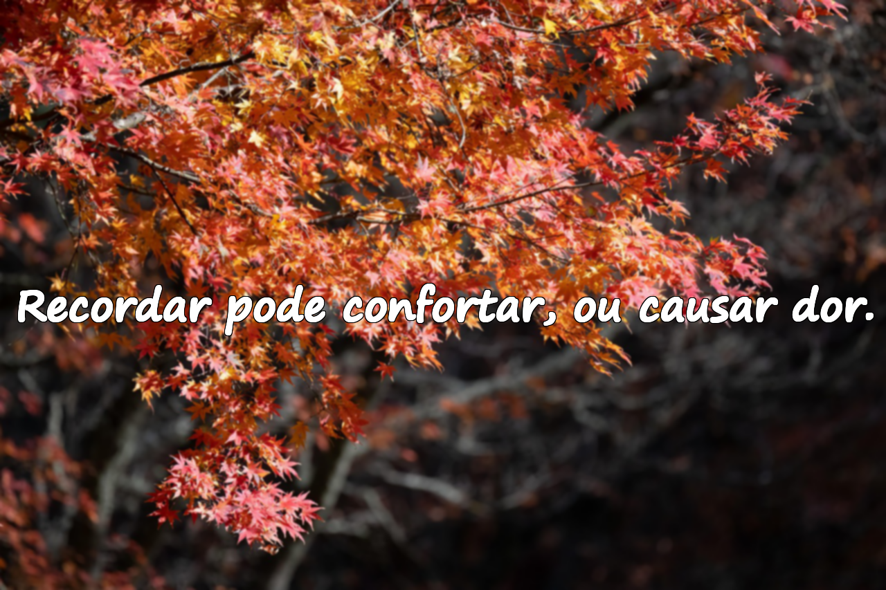 Frases sobre memórias