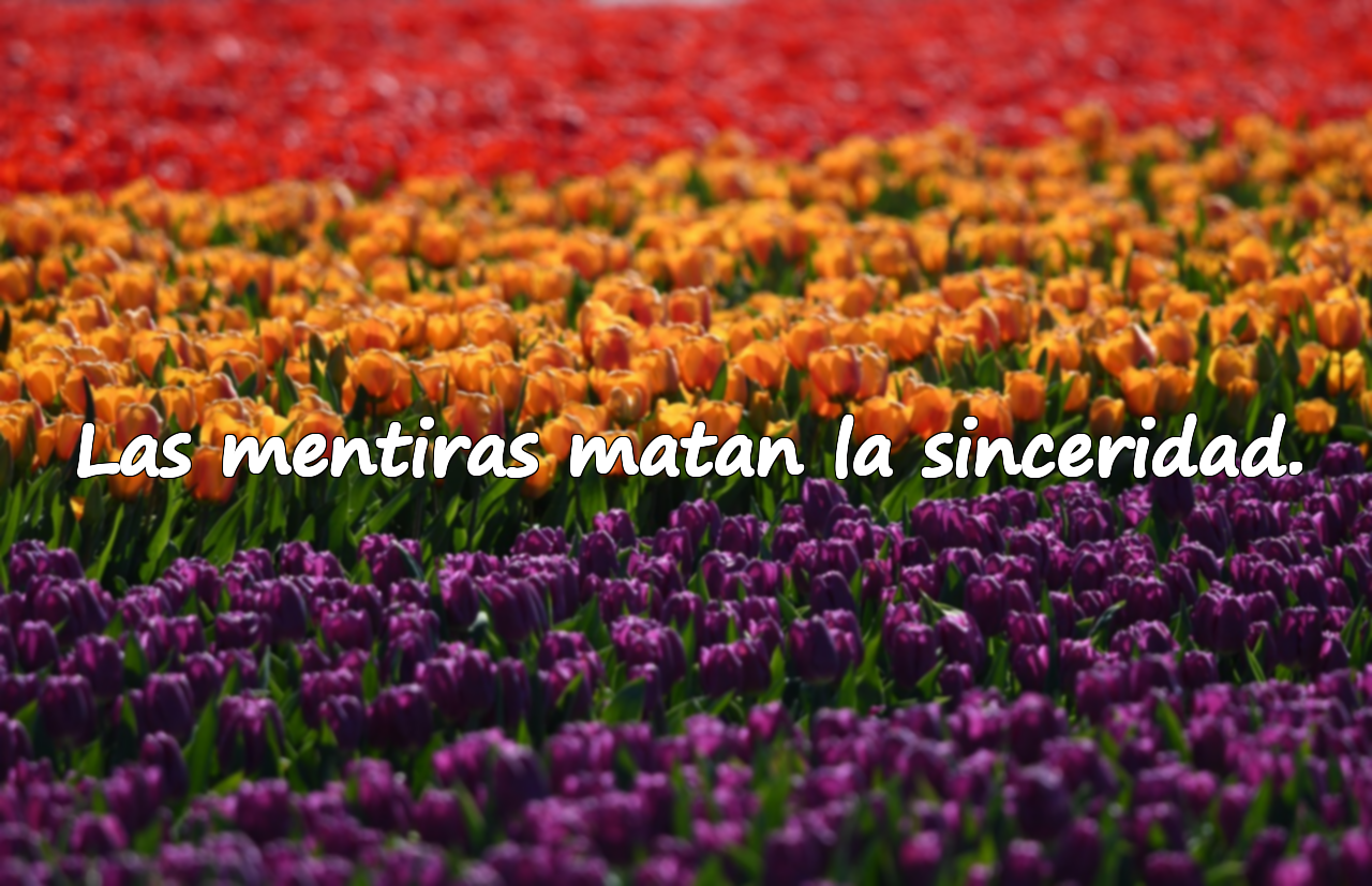 Frases sobre mentiras