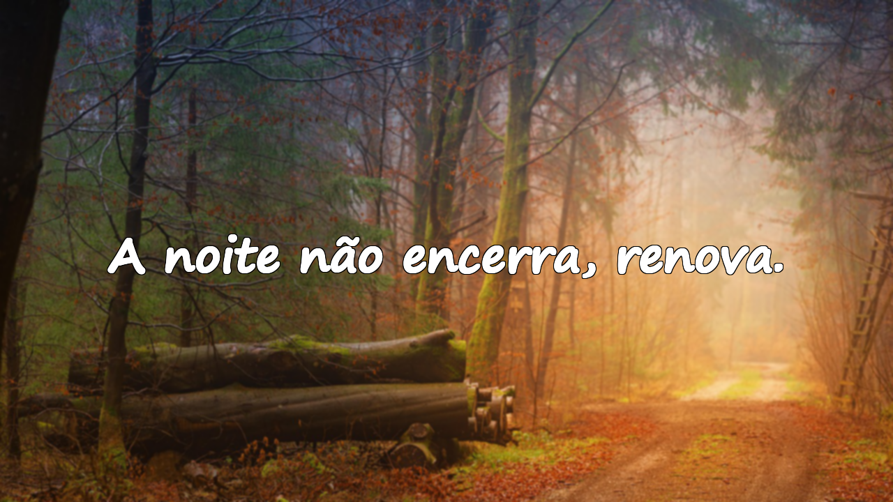 Frases sobre o Entardecer / Noite