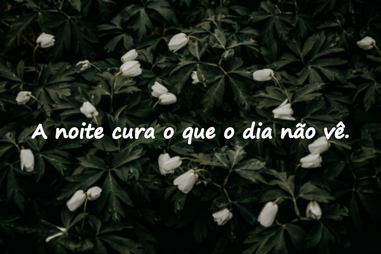 Frases sobre o Entardecer / Noite
