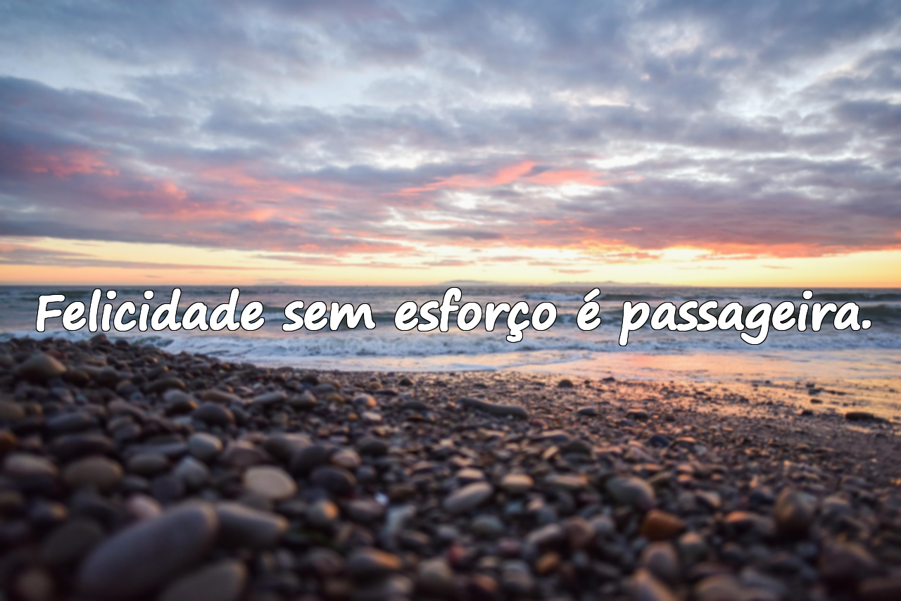Felicidade sem esforço é passageira.