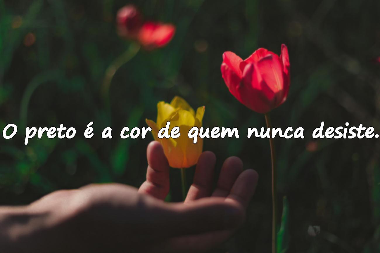 Frases sobre o Preto