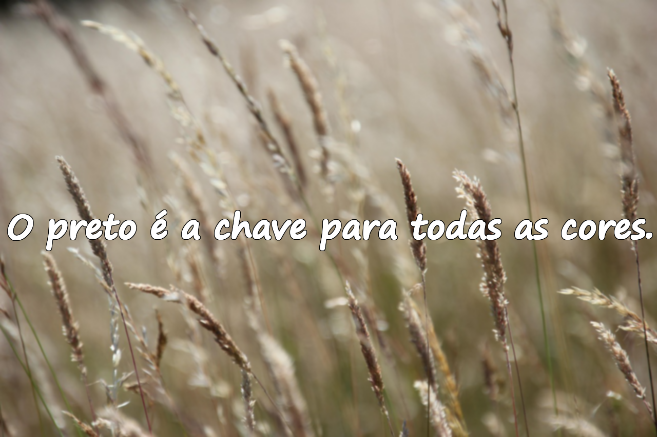 Frases sobre o Preto
