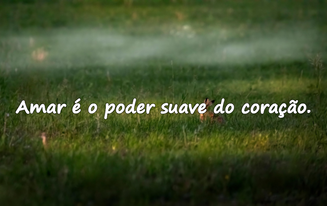 Frases sobre o coração