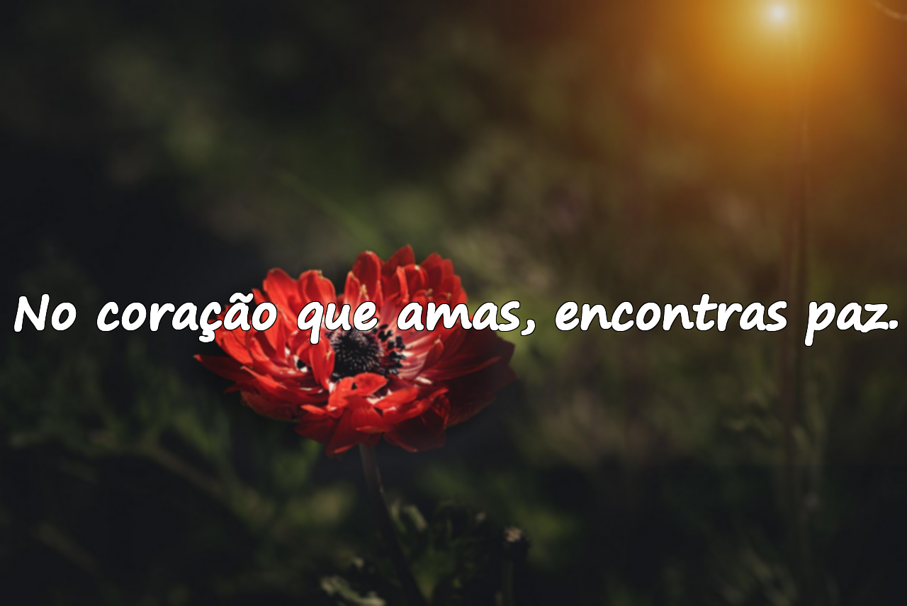 Frases sobre o coração