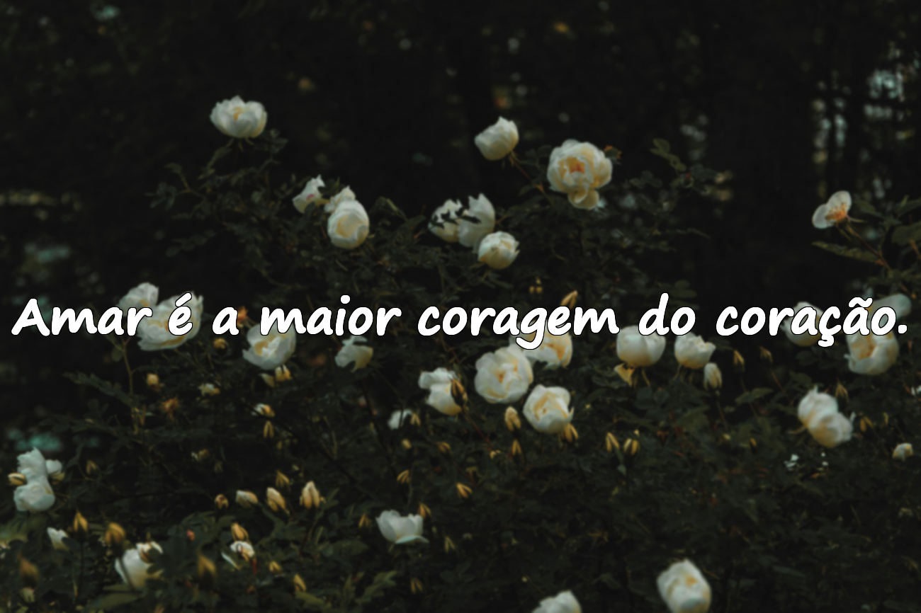 Frases sobre o coração