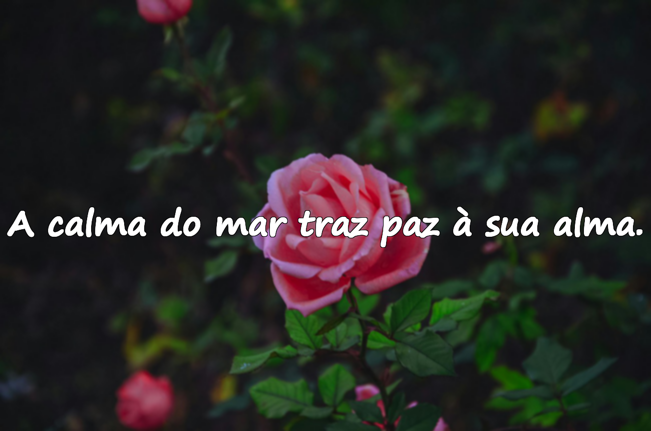 Frases sobre o mar