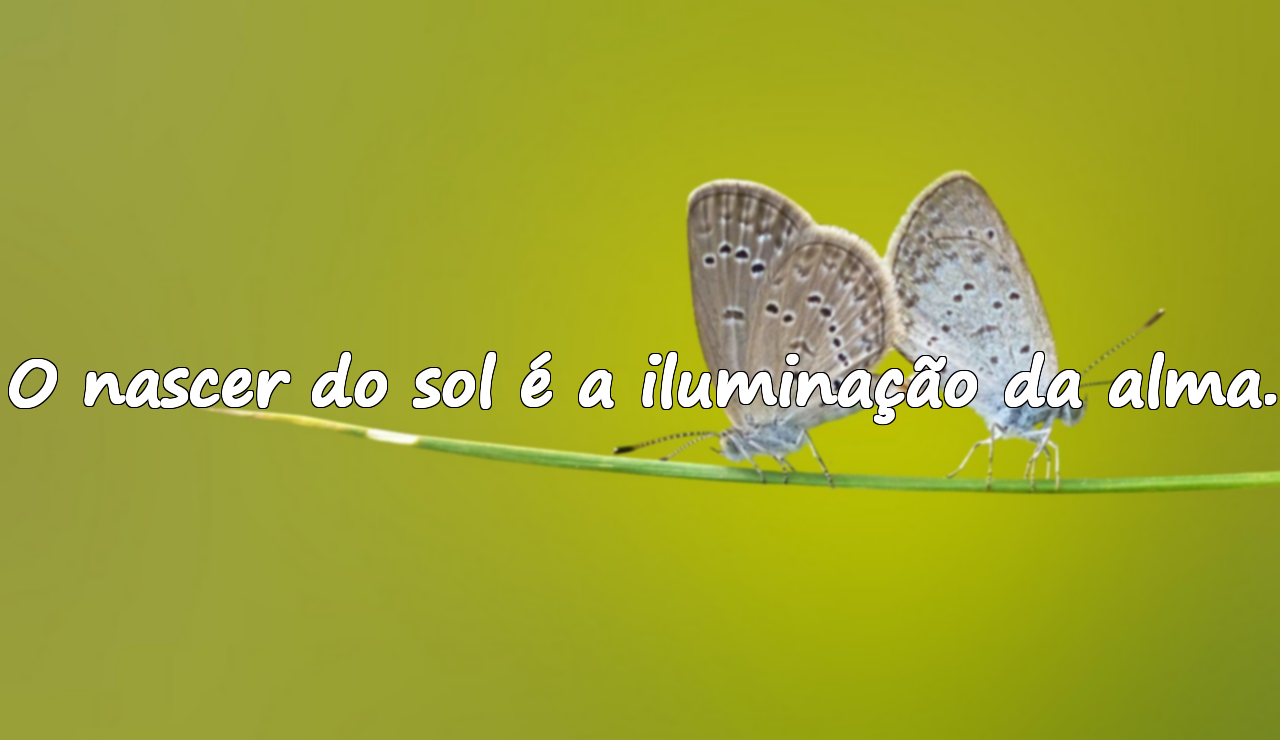 Frases sobre o nascer do sol