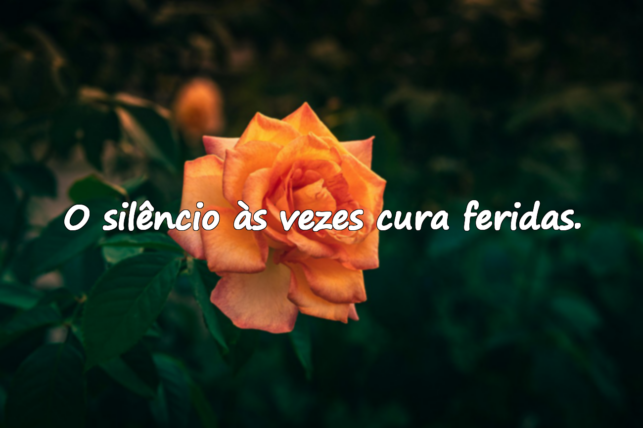Frases sobre o silêncio