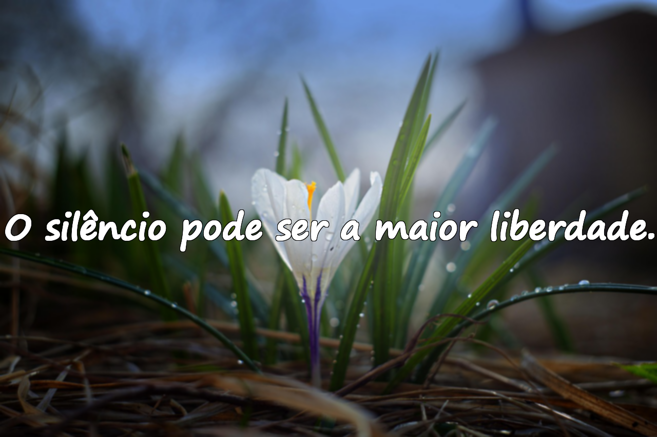 Frases sobre o silêncio