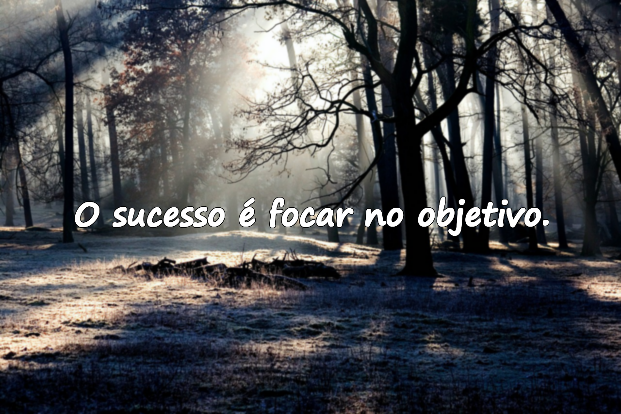 Frases sobre o sucesso