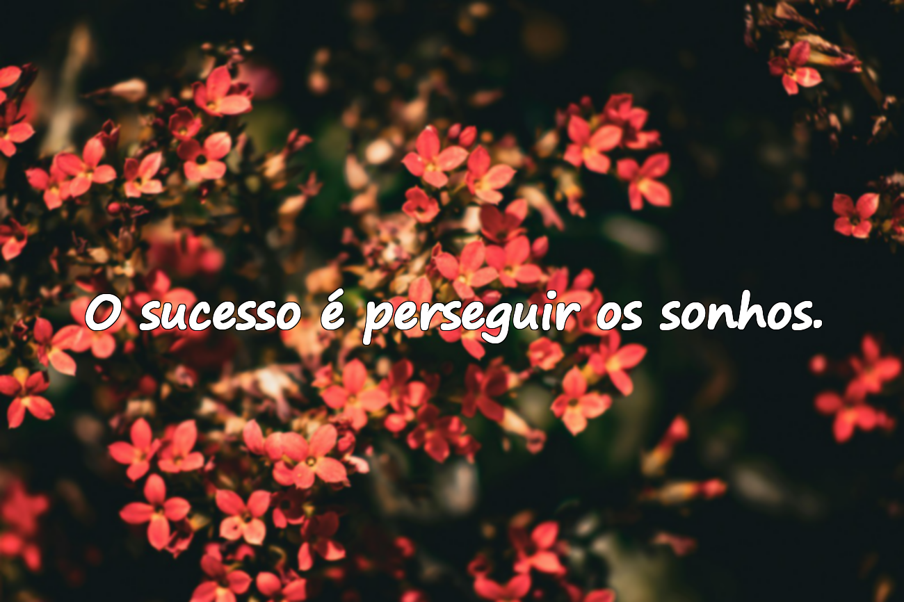 Frases sobre o sucesso