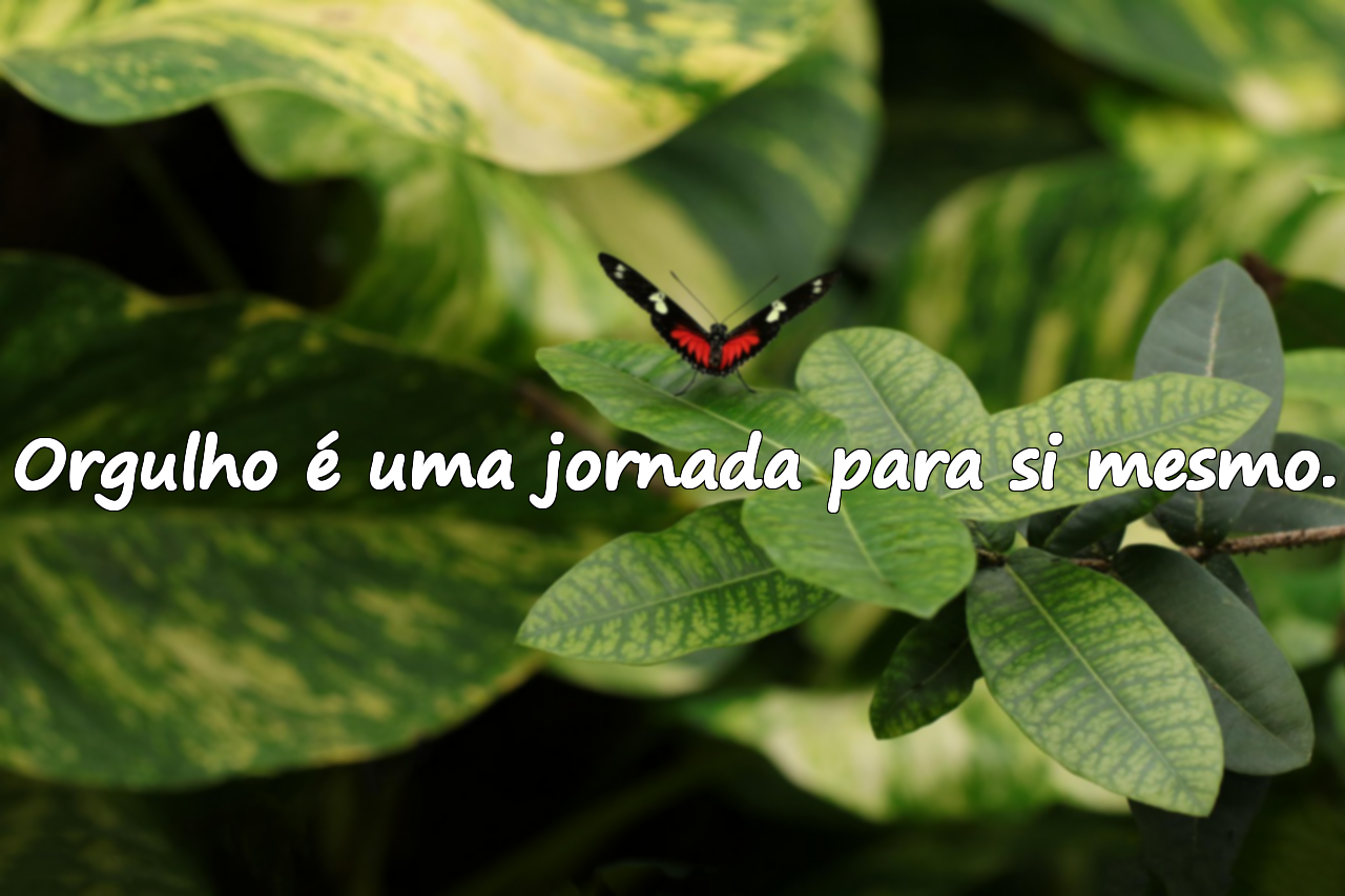 Frases sobre orgulho
