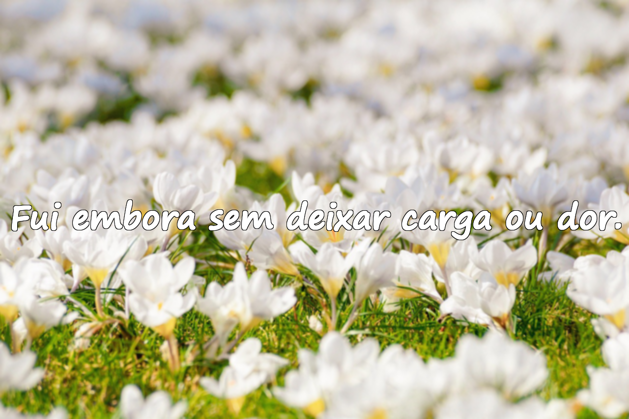 Fui embora sem deixar carga ou dor.