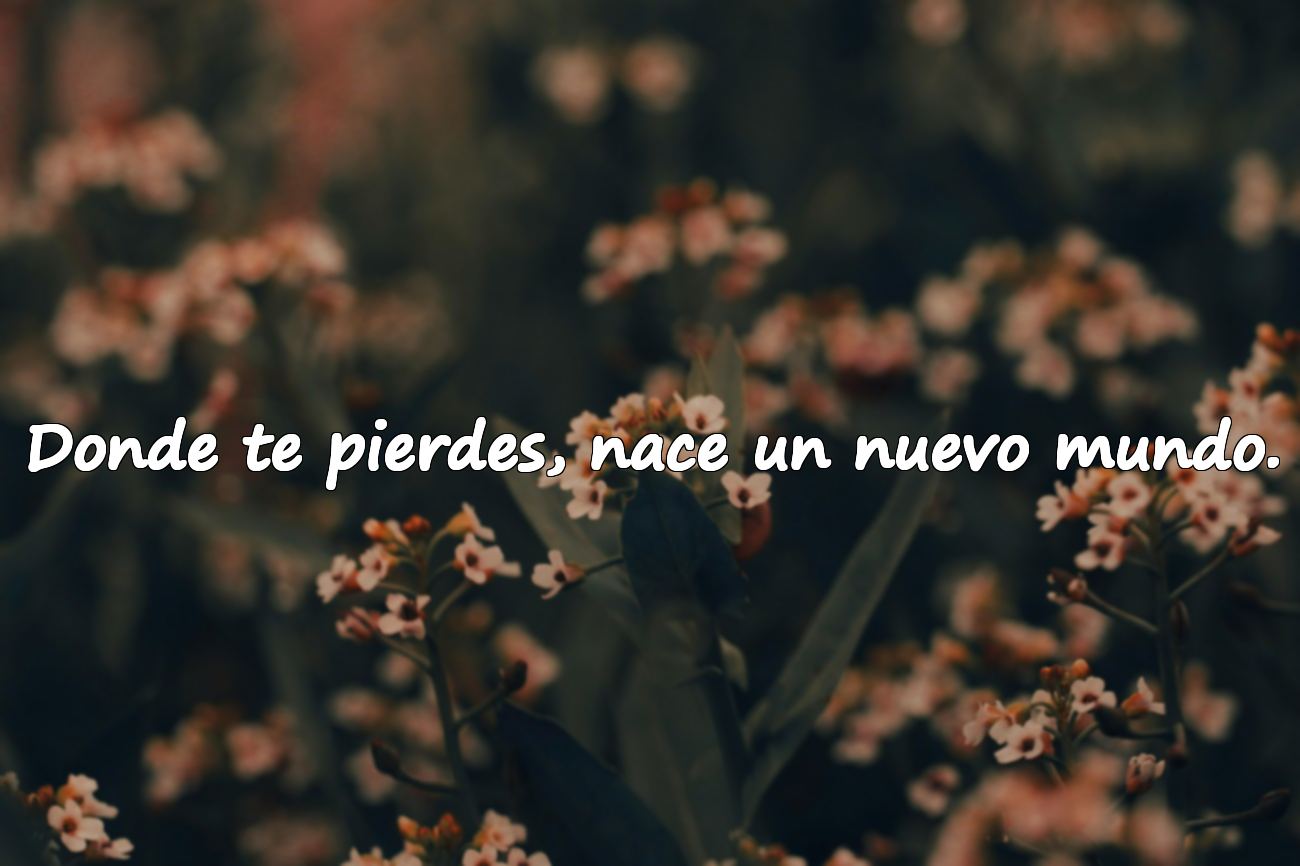 Donde te pierdes, nace un nuevo mundo.