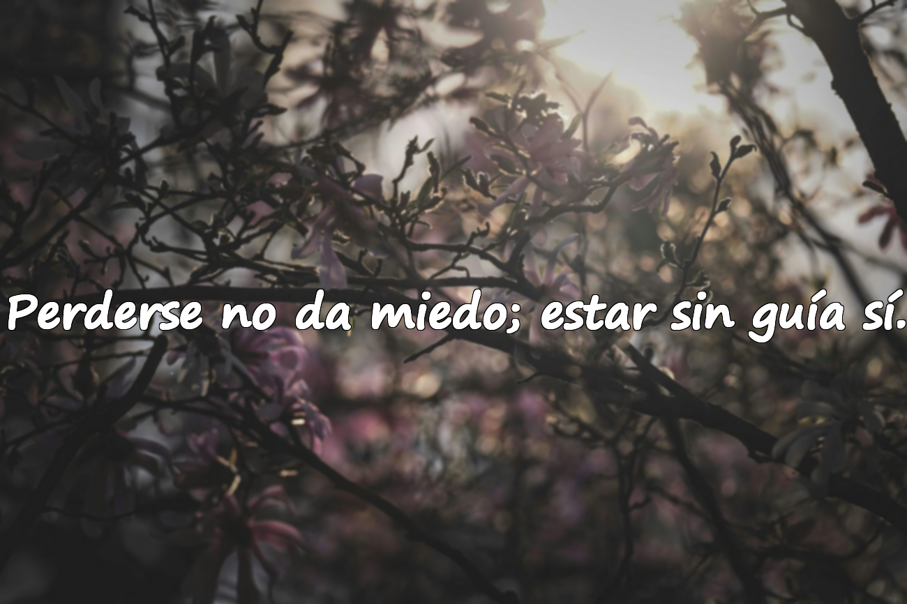 Perderse no da miedo; estar sin guía sí.