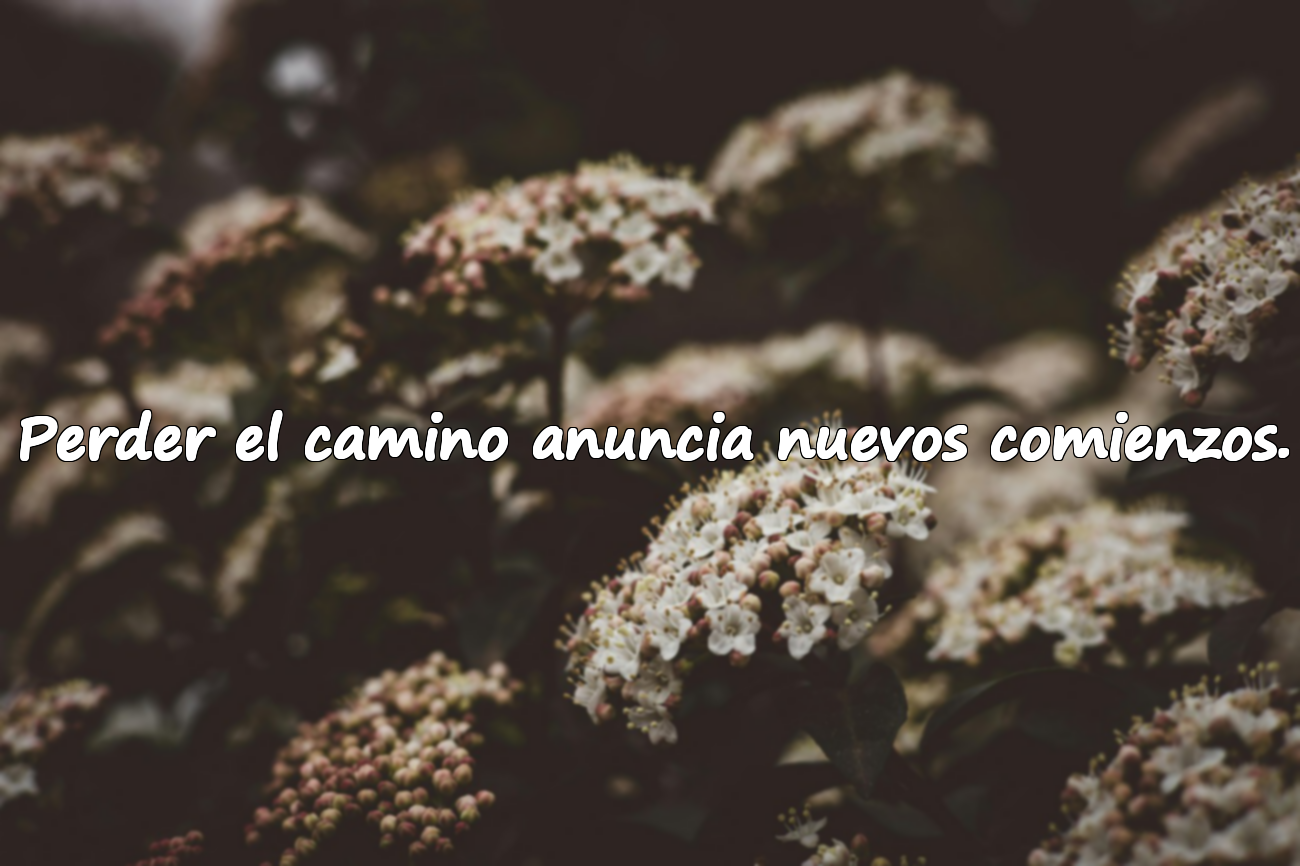 Perder el camino anuncia nuevos comienzos.