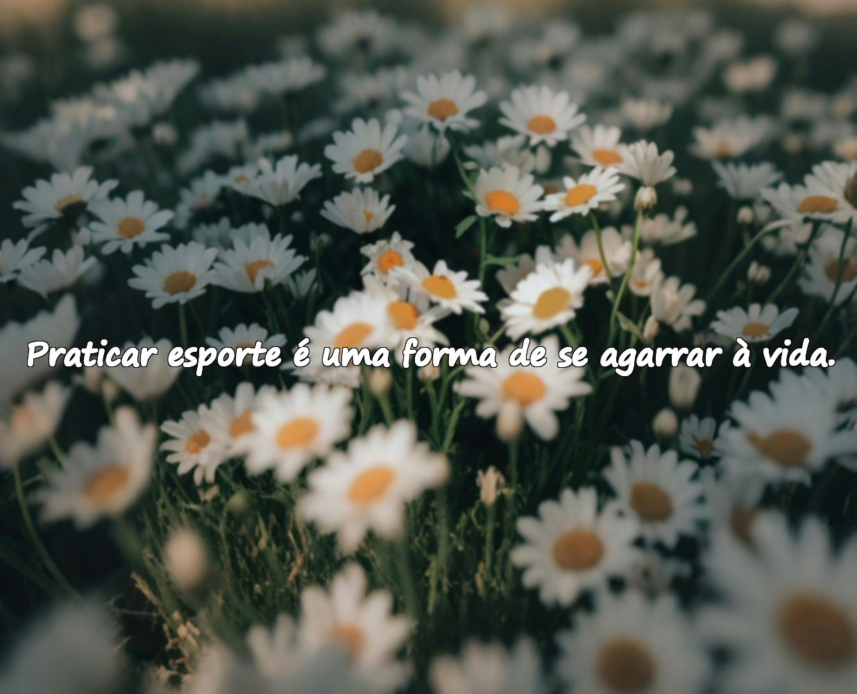 Frases sobre praticar esportes