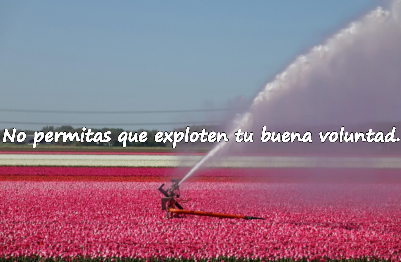 No permitas que exploten tu buena voluntad.
