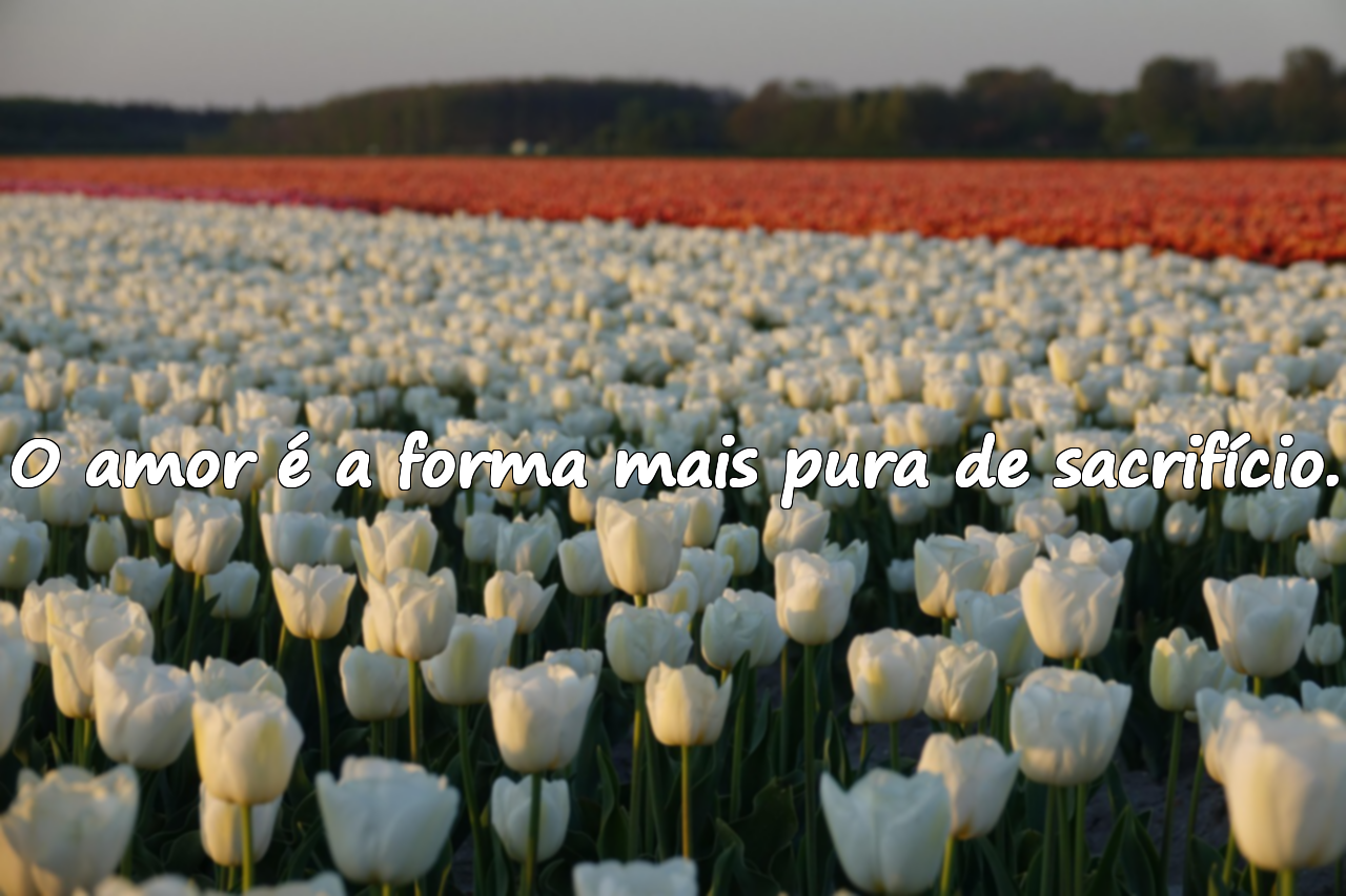 Frases sobre sacrifício