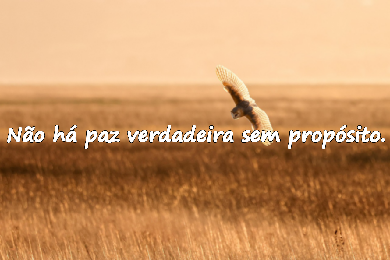 Frases sobre trabalho, esforço e perseverança